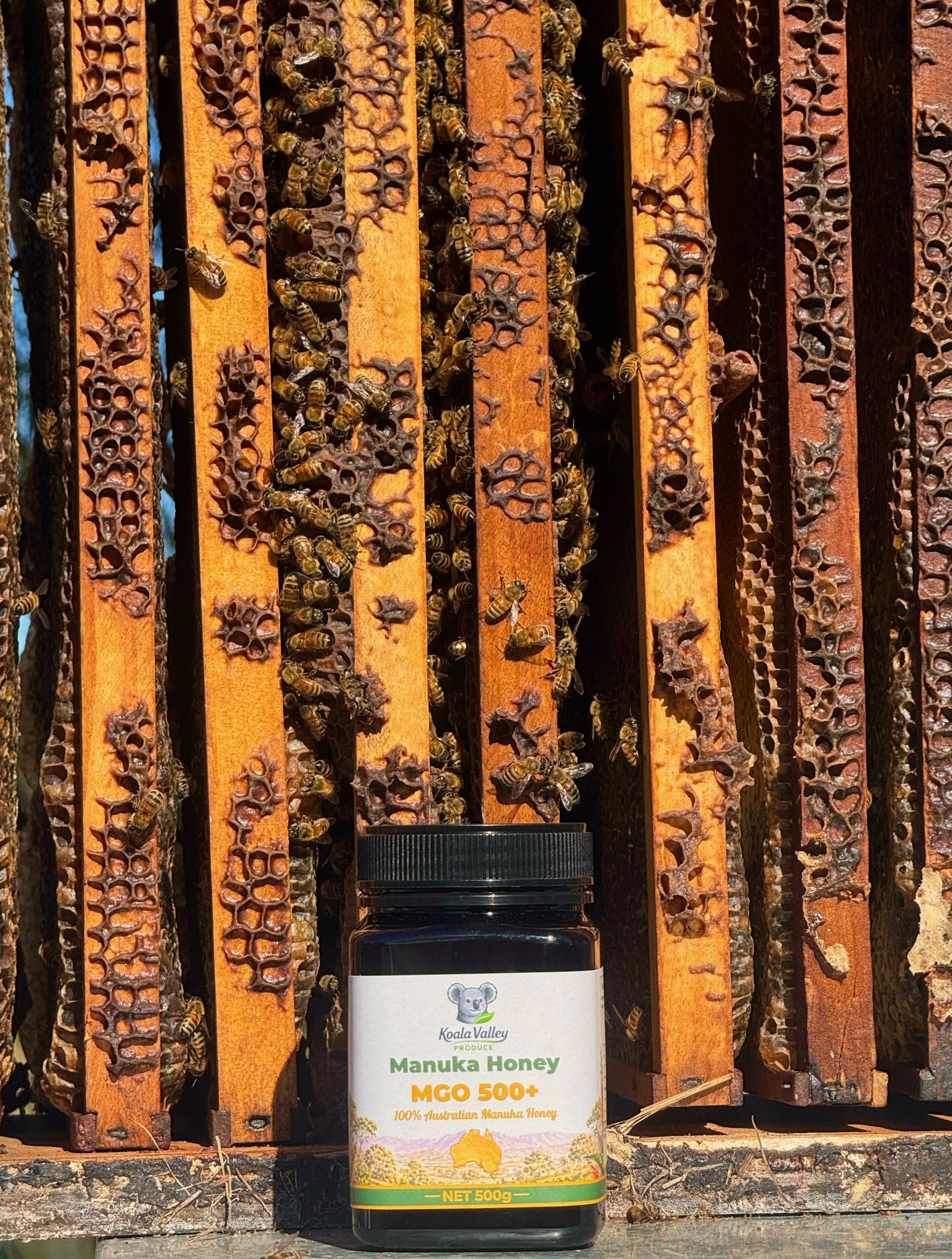Koala Valley Produce Manuka honey at an apiary with bees and hive frames